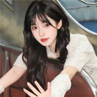 虎豹小霸王前集